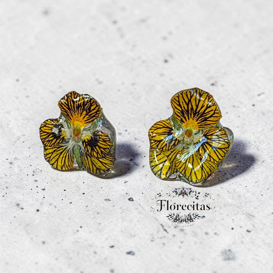 TIGER EYE VIOLA PETAL DUO AND LARIMAR STUDS
